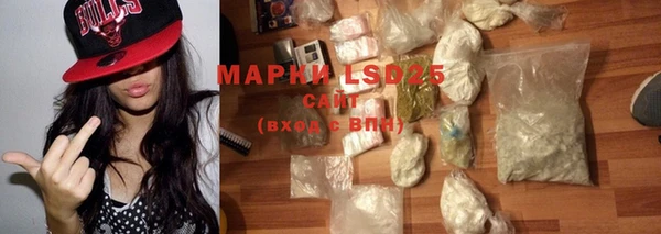 ПСИЛОЦИБИНОВЫЕ ГРИБЫ Бородино