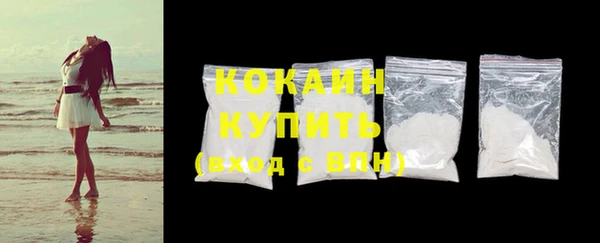 ПСИЛОЦИБИНОВЫЕ ГРИБЫ Бородино