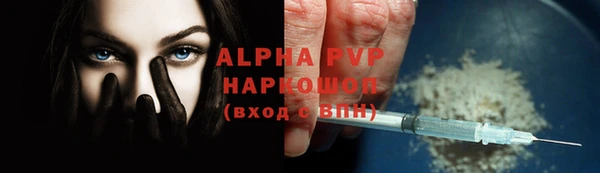 ПСИЛОЦИБИНОВЫЕ ГРИБЫ Бородино